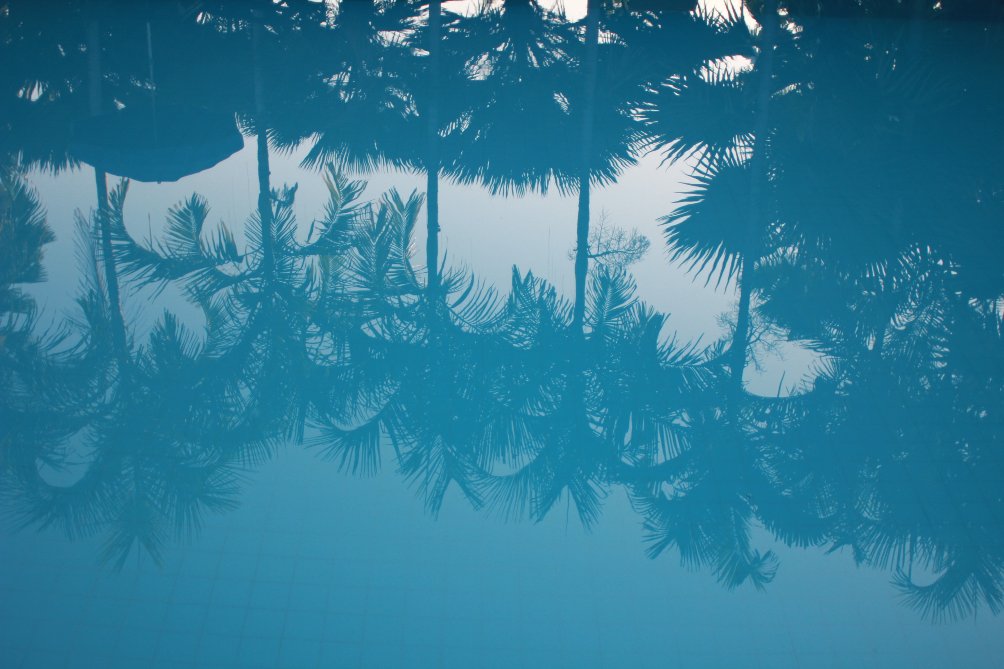 pool water